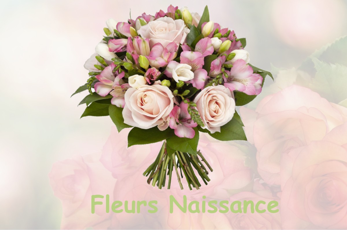 fleurs naissance LA-CHAPELLE-AUX-BOIS